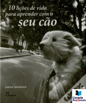 10 Lições de Vida para Aprender com o Seu Cão
