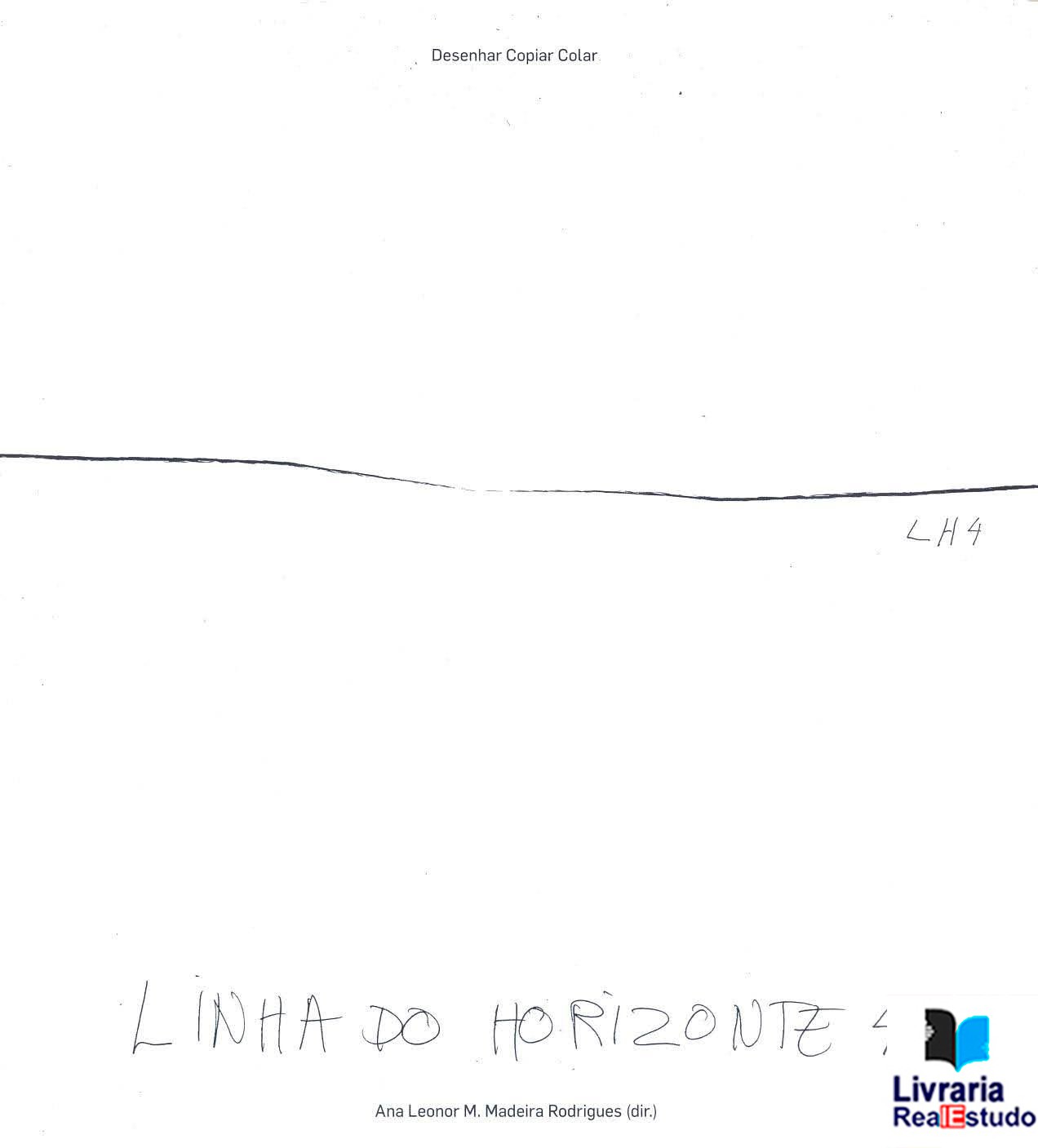 Linha do Horizonte ( 4)