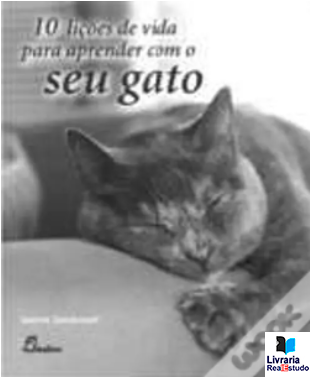 10 Lições de Vida para Aprender com o Seu Gato