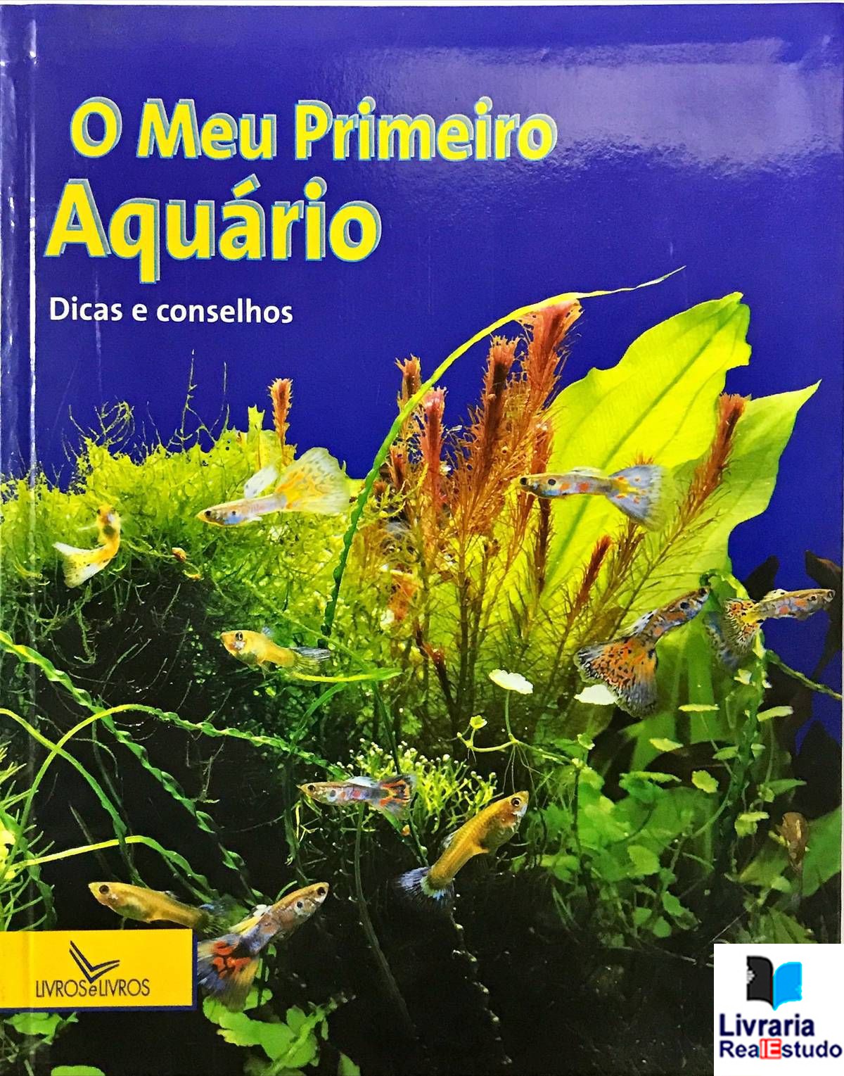 O Meu Primeiro Aquário, Dicas e Conselhos