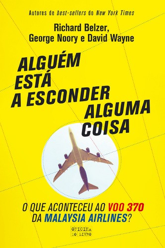 Alguém Está a Esconder Alguma Coisa - BELZER,RICHARD;NOORY,GEORGE;WAYNE,DAVID